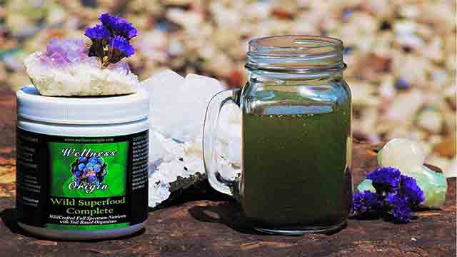 Organic Superfood Blend Wellness Origin