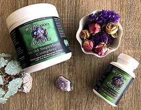 Superfoods for Health Wellness Origin