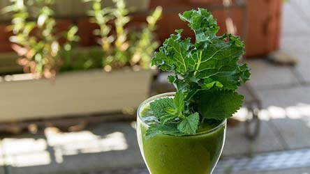 Best Organic Superfood Powder Online