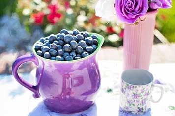 Best foods for health Wellness Origin
