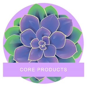 Core Products