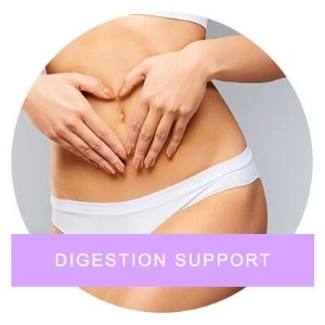 Digestive Support