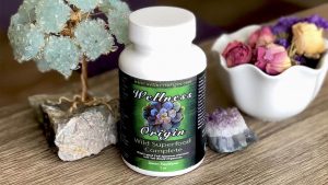 Organic Multivitamin Wellness Origin