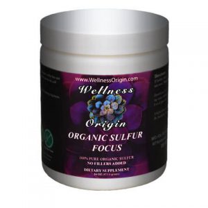 Organic Sulfur Focus