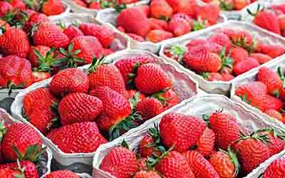 Wellness Origin Organic Superfoods List