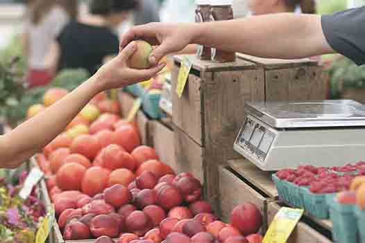 Our best organic health products