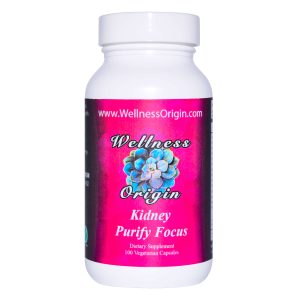 Kidney Purify Focus Wellness Origin