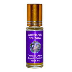 Where Are You Now Perfume Wellness Origin