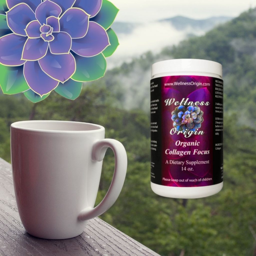 organic beauty care wellness origin