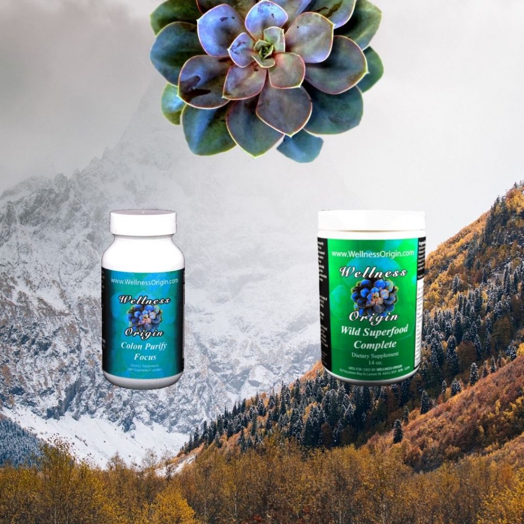 organic supplements for energy Wellness Origin